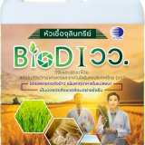 วว. ร่วมกับพันธมิตรรัฐ-เอกชน สนับสนุนโครงการชุดบ่มเลี้ยงหัวเ ... พารามิเตอร์รูปภาพ 1
