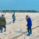 กรมวิทย์ฯ บริการ กระทรวง อว.ร่วมมือกรมส่งเสริมการเกษตรเดินหน ... พารามิเตอร์รูปภาพ 1