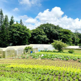 วว. ร่วมประชุมวิชาการ DOST-PCAARRD-TISTR ณ ประเทศฟิลิปปินส์  ... พารามิเตอร์รูปภาพ 4