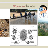 รมช.มท. เร่งสื่อสารข้อมูลทางวิทยาศาสตร์ จับมือสกสว. แก้ปัญหา ... พารามิเตอร์รูปภาพ 2