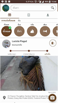 Traffy Fondue Image 1