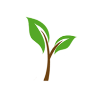 Chaokaset พารามิเตอร์รูปภาพ 1