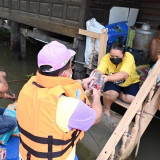 มหาวิทยาลัยราชภัฏวไลยอลงกรณ์ ในพระบรมราชูปถัมภ์ พารามิเตอร์รูปภาพ 4