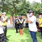 มหาวิทยาลัยราชภัฏวไลยอลงกรณ์ ในพระบรมราชูปถัมภ์ พารามิเตอร์รูปภาพ 11