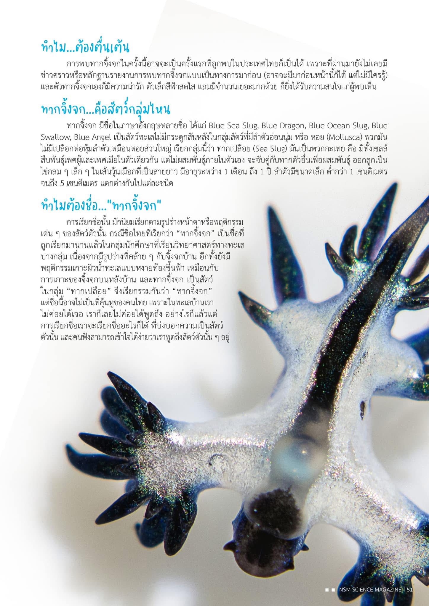 518096201 1283979580404463 7305652761651527057 n