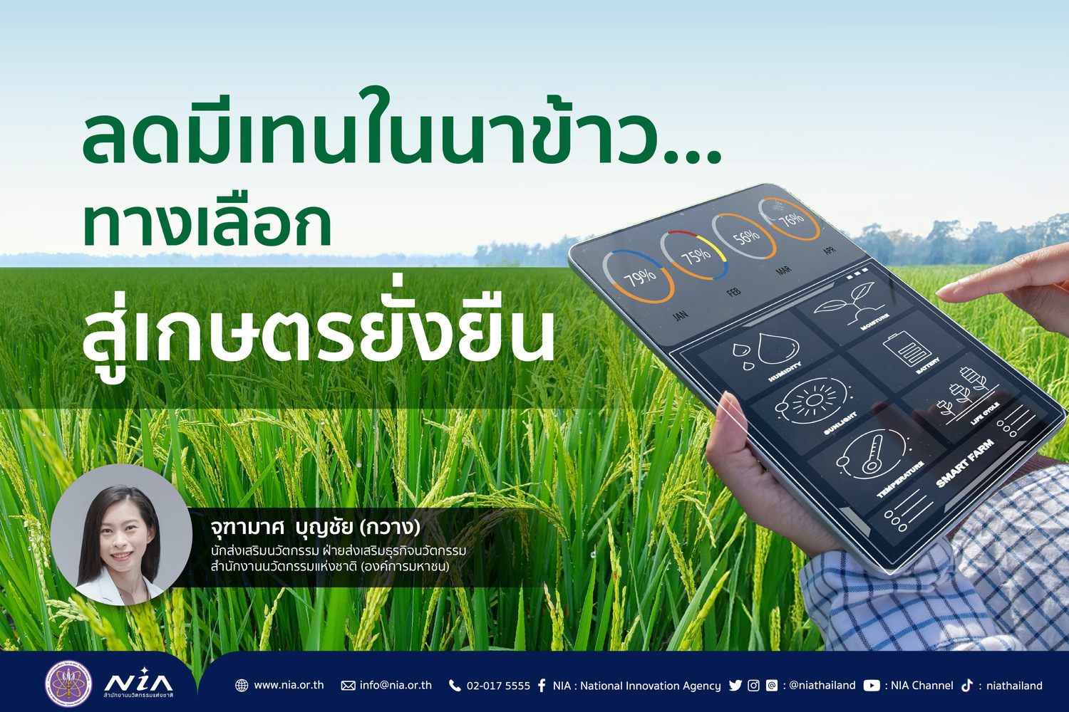 methane in rice fields