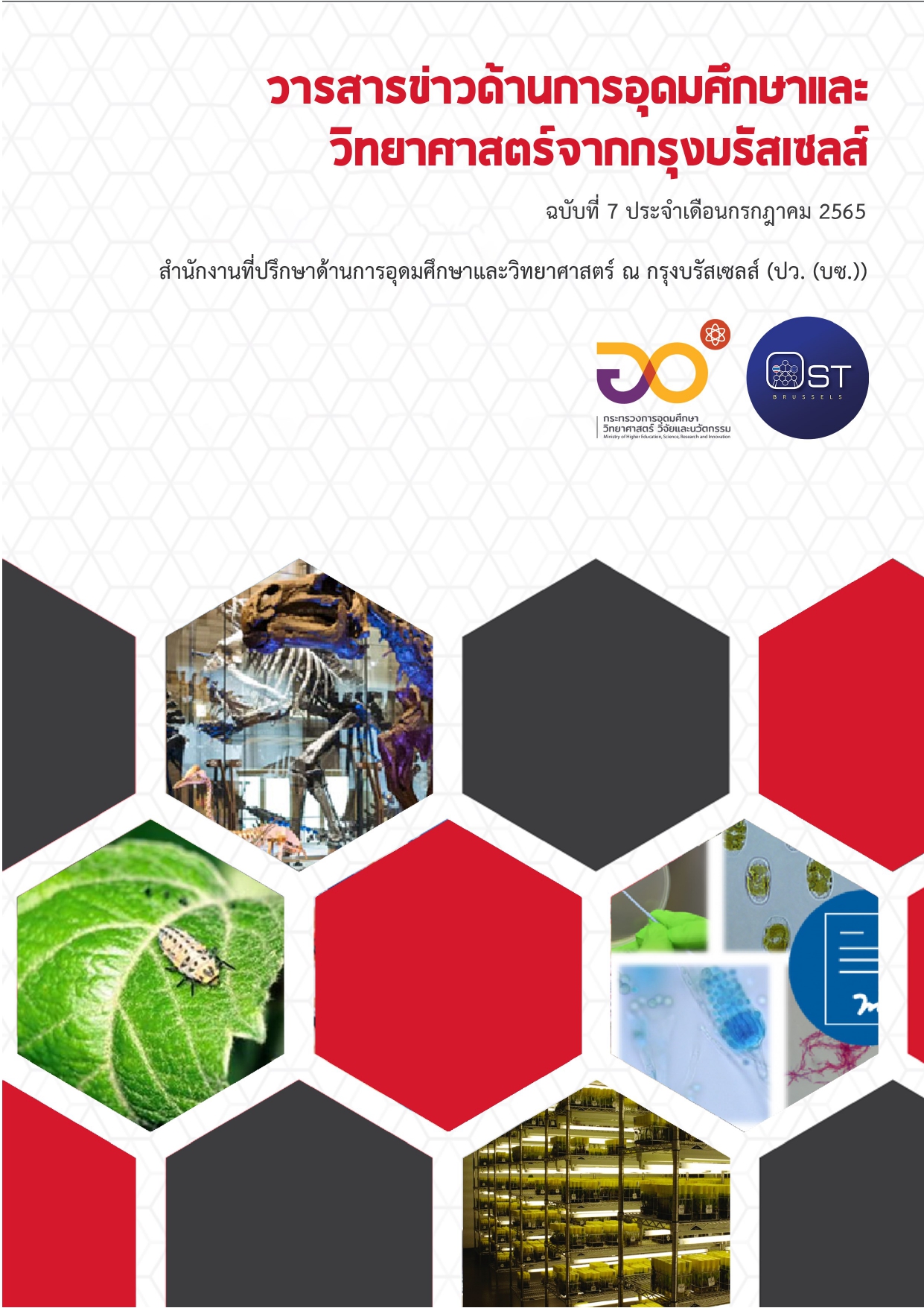 Newsletter July 2022 page 0001